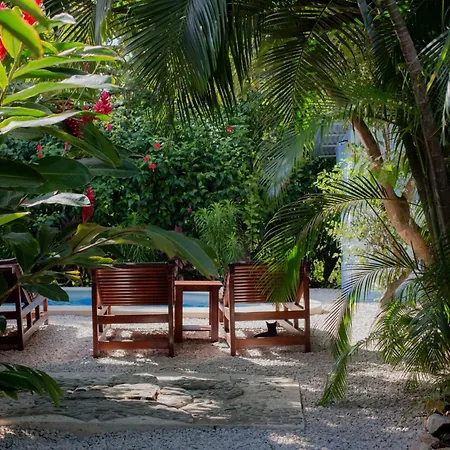 Samara Chillout Lodge - Adults Only-2